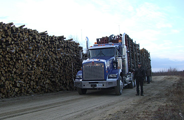 Transport de bois