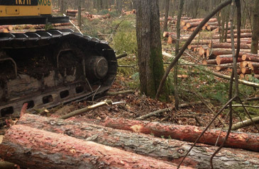 Forêt privée